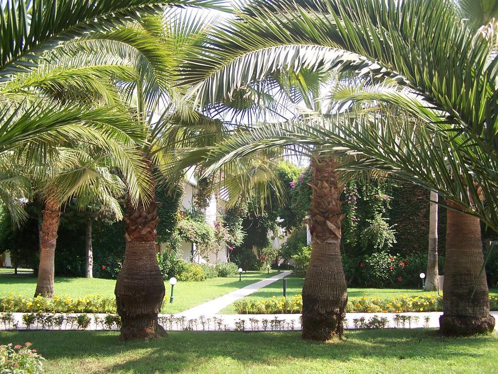 Club Boran Mare Beach Kemer Bagian luar foto